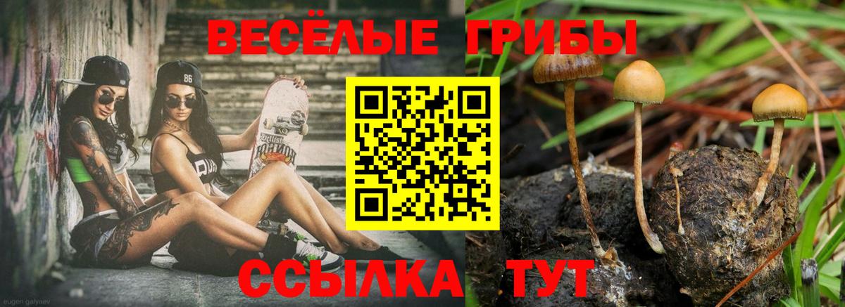 Бугульма  наркошоп  Вход с VPN  Галлюциногенные грибы GOLDEN TEACHER 